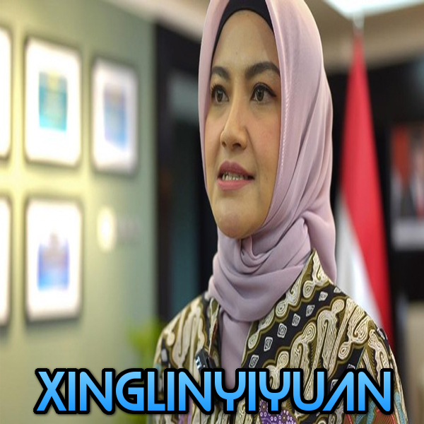 Stafsus Buka Soar Tugas Khusus dari Gibran